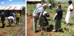 Kenya – Mautuma – Károly fát ültet